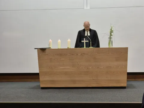 Von Maulbeerfeigen und dem geistlichen Amt