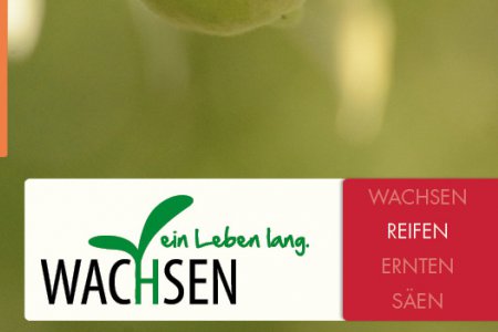 Ausschnitt des Covers: Der zweite Teil &quot;Reifen&quot; der Reihe &quot;Wachsen ein Leben lang&quot; ist erschienen.