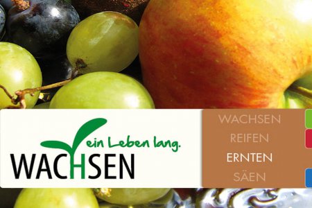 Die ökumenische Behelfsreihe gibt Tipps und Anregungen für die Arbeit mit Menschen im Alter. (Foto: Behelfsdienst Erzdiözese Wien/Geriatrieseelsorge Superintendentur Wien)