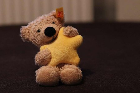 &quot;Zuerst nähte Margarete Steiff Elefanten, bald kamen andere Tiere dazu – Affen, Esel, Pferde, Kamele, Schweine, Mäuse. Der Teddybär mit beweglichen Armen und Beinen wurde ein Welterfolg.&quot; Foto: pixabay/myshanah
