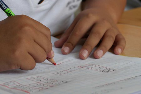   Viele Roma-Kinder müssen arbeiten und können deshalb keine Schule besuchen. Foto: pixabay