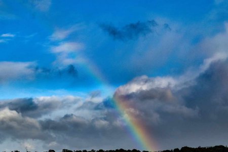 Franz Bartolomey: &quot;Töne sind der Irisbogen, der den Himmel mit dem Irdischen verbindet.“ Foto: pexels
