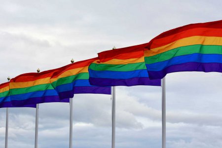 Der Internationale Tag gegen Homophobie, Transphobie, Biphobie und Interphobie wendet sich gegen die Diskriminierung und Bestrafung von Menschen aufgrund ihrer sexuellen Orientierung oder Geschlechtsidentität. Foto: pixabay