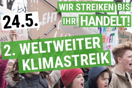 Zwei Tage vor der Europwahl streiken SchülerInnen und zivilgesellschaftliche Initiativen gegen die aus ihrer Sicht verfehlte Klimapolitik europäischer Regierungen. Foto: Fridays for Future