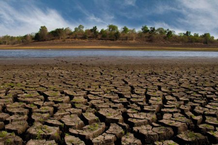 „Den größten Schaden durch den Klimawandel haben aktuell Menschen in den Ländern des globalen Südens, die am wenigsten für ihn verantwortlich sind&quot;, sagt Nina Hechenberger, Leiterin von Brot für die Welt. Foto: pexels/Samarth Singhai