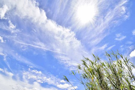 Die Vertreterinnen und Vertreter der Initiative appellieren an alle Menschen, &quot;einen achtsamen Umgang mit der Natur zu pflegen&quot;. Foto: pixabay