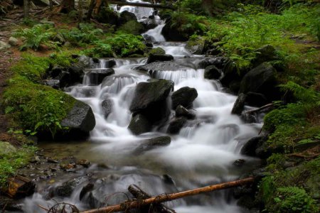   &quot;Religiösen Traditionen können wichtige Haltungen im Umgang mit der Natur vermitteln: Dankbarkeit und Achtsamkeit, Bescheidenheit und Gerechtigkeit, Demut und Geschwisterlichkeit.&quot; Foto: pixabay