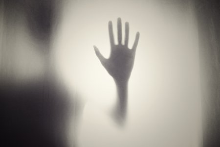 &quot;Angst lässt uns entweder ausflippen – schreien, weinen, um uns schlagen – oder erstarren.&quot; Foto: pixabay/Free-Photos