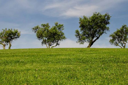 &quot;Konkretisierungen in Richtung echte Werte und Zukunftsfähigkeit&quot; will die Sprecherin der kirchlichen Umweltbeauftragten, Hemma Opis-Pieber. Foto: pixabay
