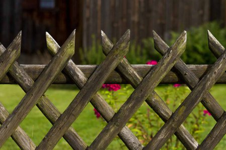 &quot;Schon immer war das Gras auf der anderen Seite grüner. In Krisenzeiten scheint es sogar noch grüner.&quot; Foto: pixabay