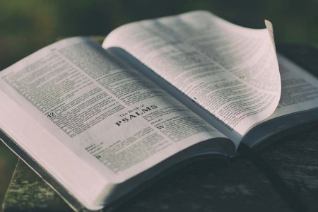Massive Kritik am Missbrauch der Bibel durch Donald Trump kommt von der Evangelisch-theologischen Fakultät in Wien. Foto: pexels/pixabay