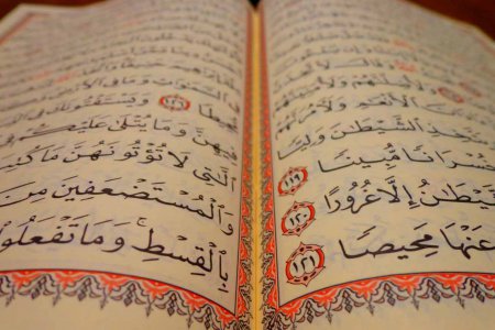 Von der Verdammung eines Buches „bis zur Verdammung von Menschen, eines ganzen Volkes, einer Religionsgemeinschaft oder einer ethnischen Gruppe“ sei es manchmal nur ein kleiner Schritt, so Hennefeld. Foto: pixabay