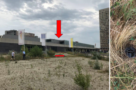 Die Fahne der Israelitische Kultusgemeinde (IKG) fehlt samt Fahnenmast. Fotos: J. Kronika