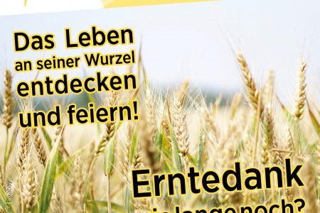 Weizenfeld mit Schrift: Erntedank – das Leben an seiner Wurzel entdecken und feiern! Und: Erntedank - wie lange noch?