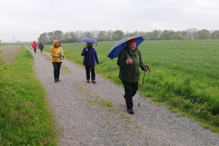 Pilgern ist mehr als gemeinsam unterwegs sein. Foto: Heinz Glaser