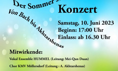 Konzert im 22. Bezirk im Sommer