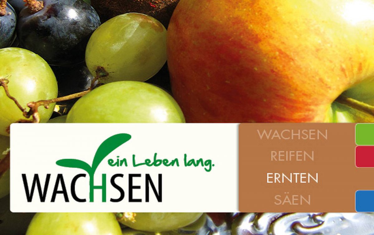 Die ökumenische Behelfsreihe gibt Tipps und Anregungen für die Arbeit mit Menschen im Alter. (Foto: Behelfsdienst Erzdiözese Wien/Geriatrieseelsorge Superintendentur Wien) Die ökumenische Behelfsreihe gibt Tipps und Anregungen für die Arbeit mit Menschen im Alter. (Foto: Behelfsdienst Erzdiözese Wien/Geriatrieseelsorge Superintendentur Wien)