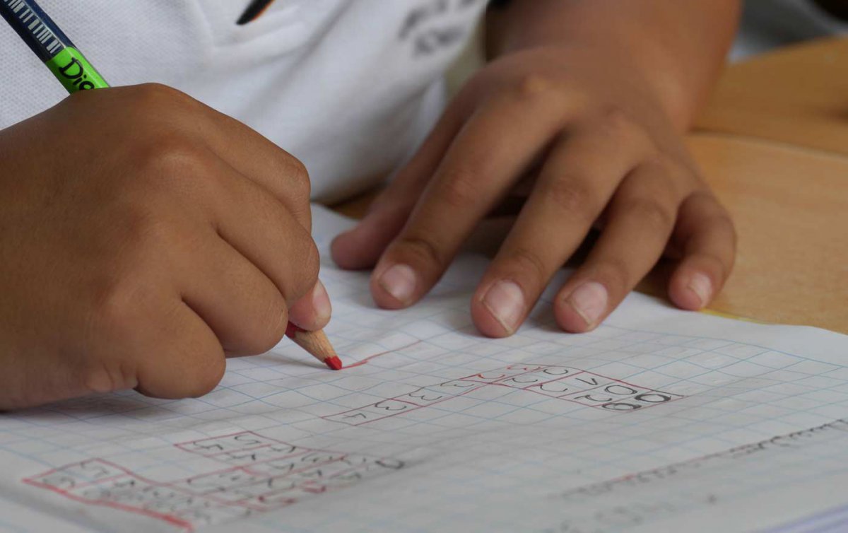   Viele Roma-Kinder müssen arbeiten und können deshalb keine Schule besuchen. Foto: pixabay