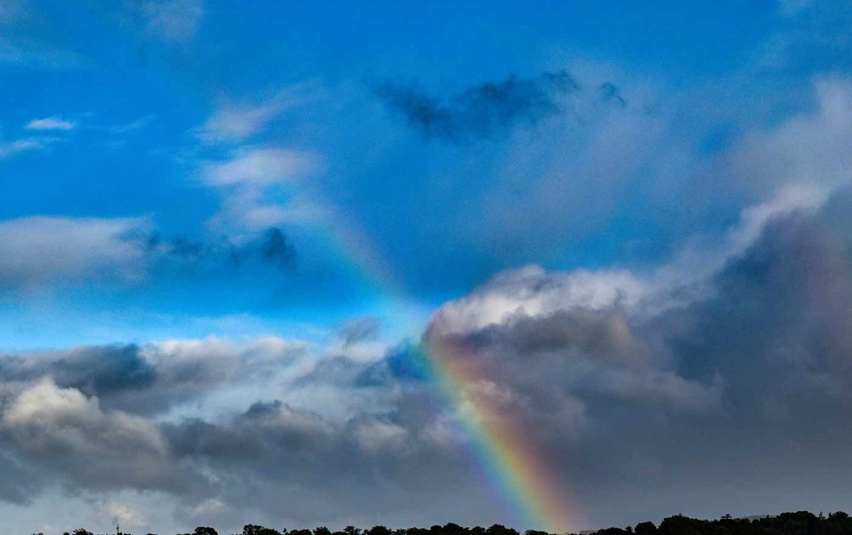 Franz Bartolomey: "Töne sind der Irisbogen, der den Himmel mit dem Irdischen verbindet.“ Foto: pexels Franz Bartolomey: "Töne sind der Irisbogen, der den Himmel mit dem Irdischen verbindet.“ Foto: pexels
