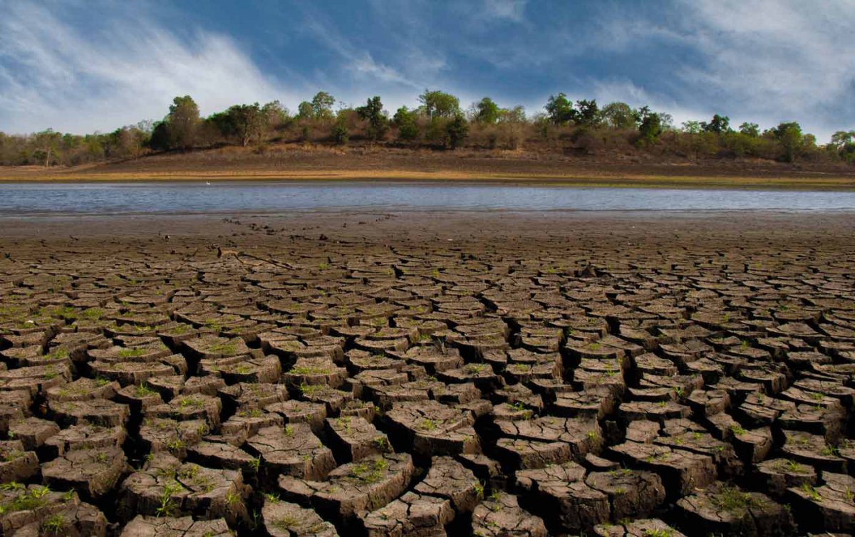 „Den größten Schaden durch den Klimawandel haben aktuell Menschen in den Ländern des globalen Südens, die am wenigsten für ihn verantwortlich sind", sagt Nina Hechenberger, Leiterin von Brot für die Welt. Foto: pexels/Samarth Singhai „Den größten Schaden durch den Klimawandel haben aktuell Menschen in den Ländern des globalen Südens, die am wenigsten für ihn verantwortlich sind", sagt Nina Hechenberger, Leiterin von Brot für die Welt. Foto: pexels/Samarth Singhai