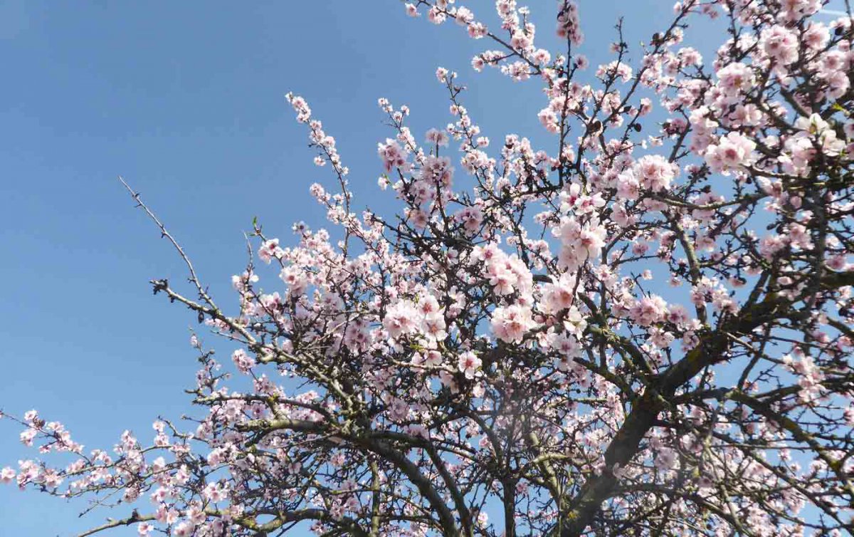 Ostern zuhause: Anleitungen für Hausandachten helfen beim Feiern. Foto: Matouschek