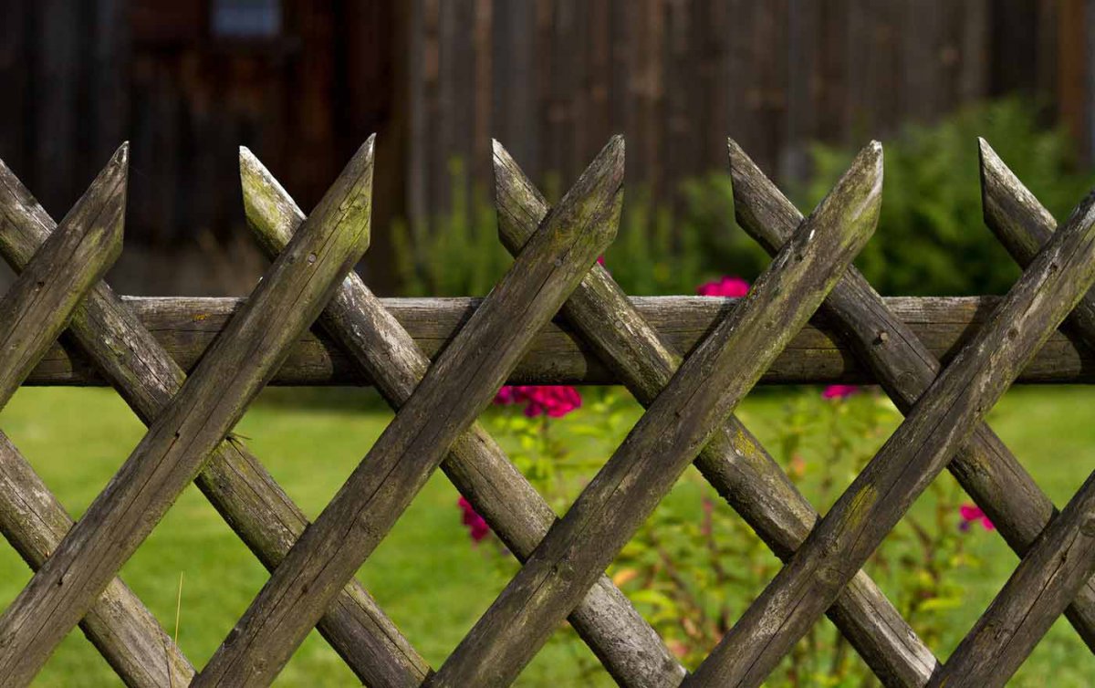 "Schon immer war das Gras auf der anderen Seite grüner. In Krisenzeiten scheint es sogar noch grüner." Foto: pixabay "Schon immer war das Gras auf der anderen Seite grüner. In Krisenzeiten scheint es sogar noch grüner." Foto: pixabay
