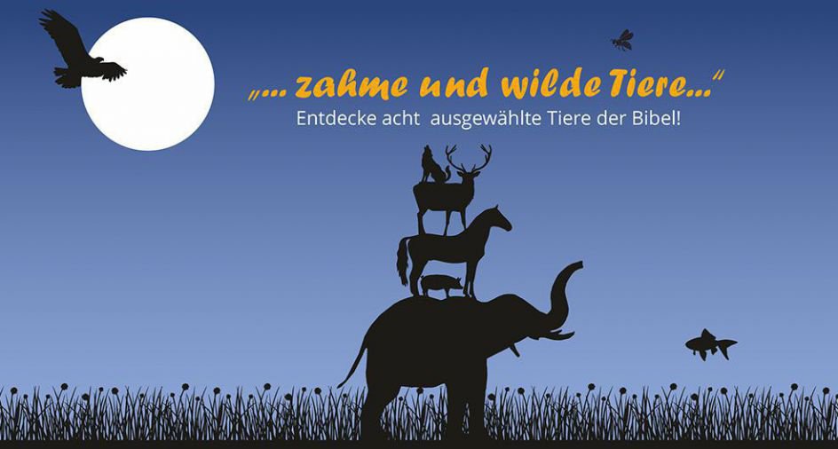 Acht ausgewählte Tiere der Bibel zum Entdecken, Arbeitsblätter mit vielen Informationen, Aufgaben, Rätseln, Bastelanleitungen und vielem mehr! 