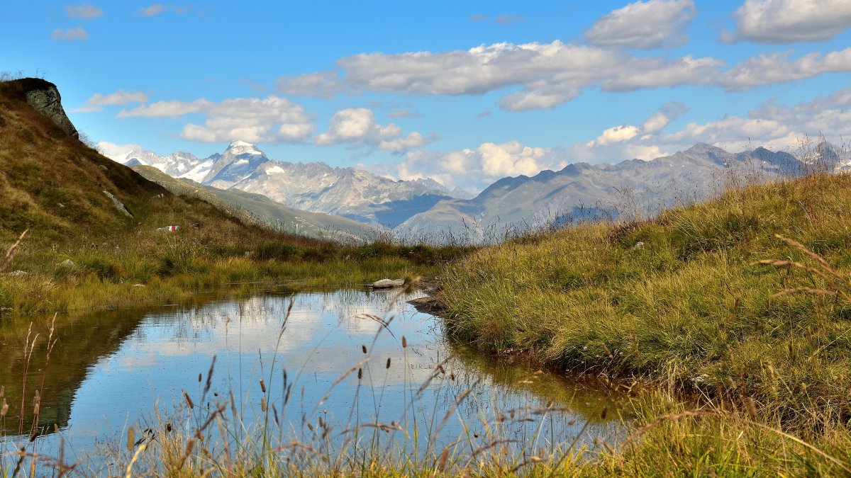 Sich verbunden fühlen, tut gut. Verbunden mit der Natur, mit Mitmenschen, mit einem höheren Wesen. Foto:pixabay/m_baecher