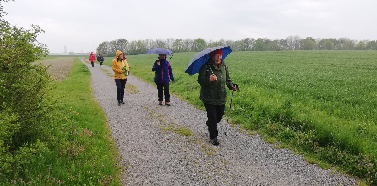 Pilgern ist mehr als gemeinsam unterwegs sein. Foto: Heinz Glaser Pilgern ist mehr als gemeinsam unterwegs sein. Foto: Heinz Glaser