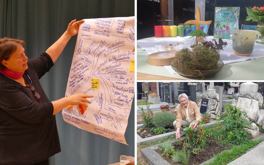 Collage aus drei Fotos: Diskutiert, gepflanzt, gebetet - das alles passierte im heurigen Themenjahr "Jahr der Schöpfung". Diskutiert, gepflanzt, gebetet - das alles passierte im heurigen Themenjahr "Jahr der Schöpfung".
